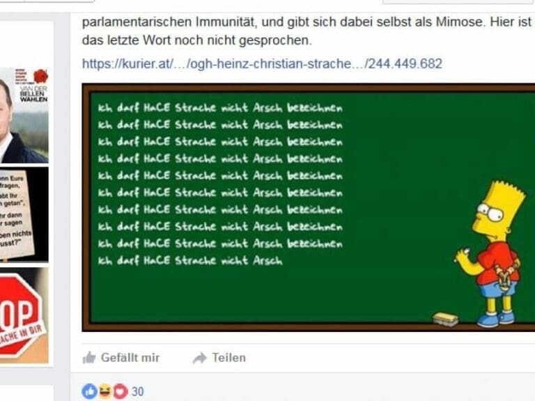 HC Strache ein "Arsch": SPÖler verurteilt — Bild: Screenshot Facebook