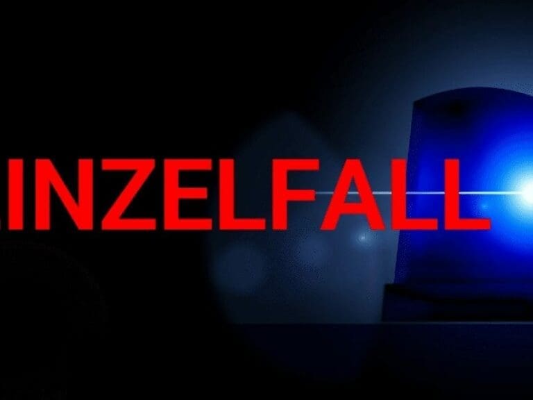 Der tägliche Einzelfall im Februar 2019 — Bild: geralt/pixabay Montage: unzensuriert