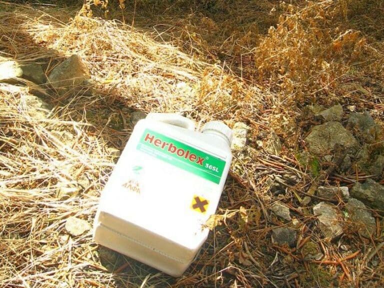 Glyphosat: EU hat Krebsfälle verschwiegen — Bild: Parkywiki / Wikimedia  (CC-BY-SA-4.0)