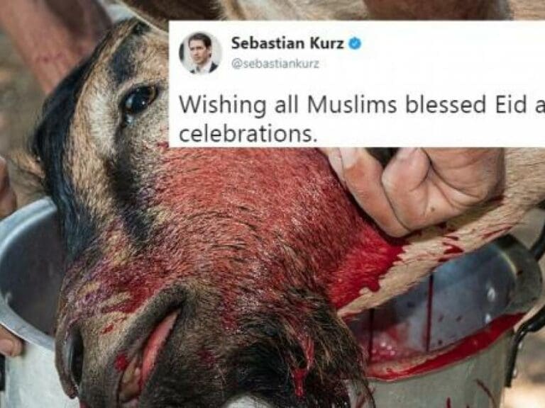 Moslems kämpfen vor EuGH für Tierquälerei — Bild: The Photographer / Wikimedia (CC0 1.0) - Fotomontage: unzensuriert.at