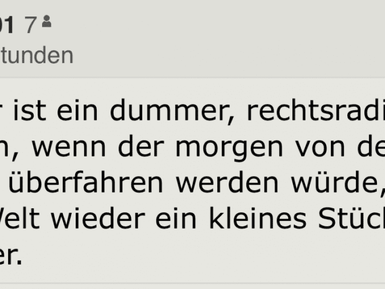 Standard-Leser will Hofer mit U-Bahn überfahren — Bild: Standard-Faksimile
