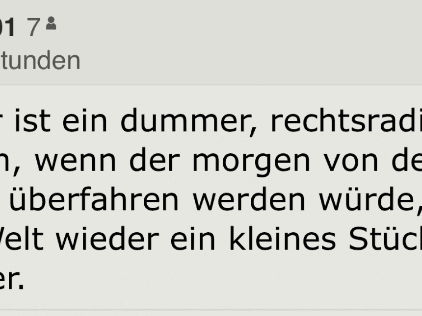 Dieses Hassposting von “Dina 101” zeugt von der Qualität der Standard-Kommentarschreiber.