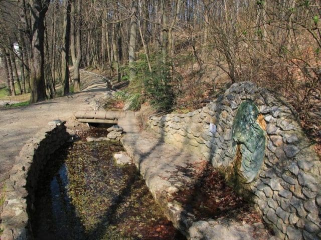 Im Wald bei Kaltenleutgeben (Bild: Rebekkaquelle) bedrohten die “Sittenwächter” eine junge Frau, weil sie oben ohne in der Sonne lag.