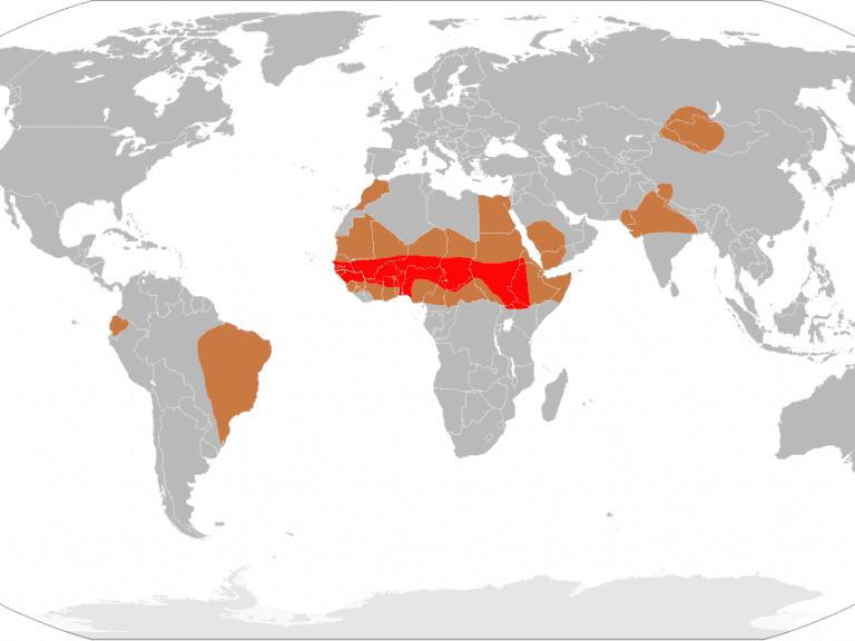 15-Jähriger an Infektion aus der Sahara verstorben — Bild: Leevanjackson / Wikipedia