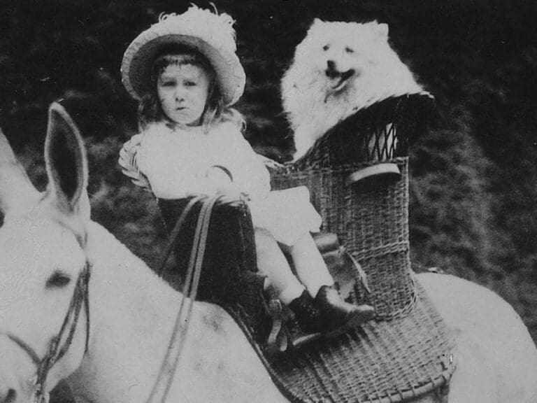 Transgender-Kind: Aus Mary (9) wurde Max — Bild: U.S. National Archives and Records Administration / Wikimedia (gemeinfrei)