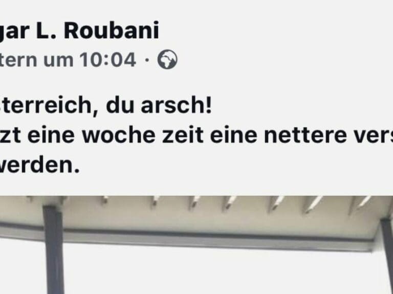 Grüne: "tschüss österreich, du arsch!" — Bild: Screenshot Facebook