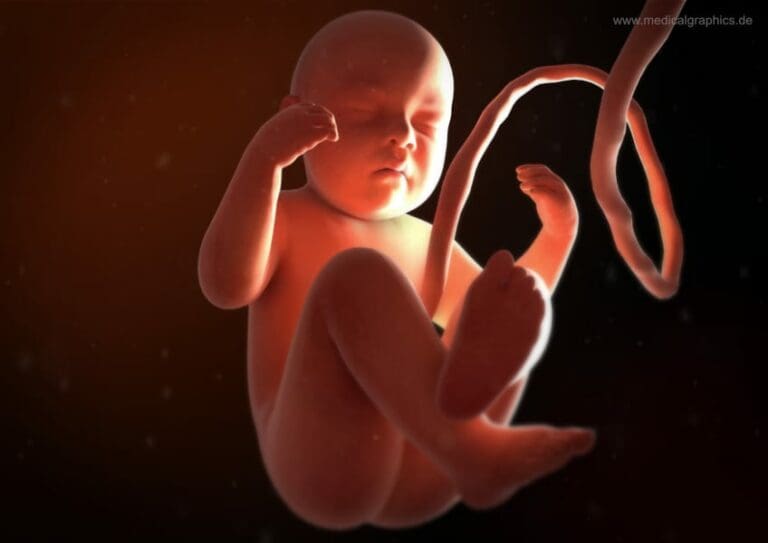 Leihmutterschaft: Kinder in USA wie Ware bestellt — www.medicalgraphics.de (CC BY-ND 4.0)