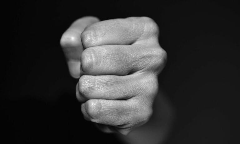 Gewalt in der SPD-Zentrale? Politiker unter Druck — https://pixabay.com
