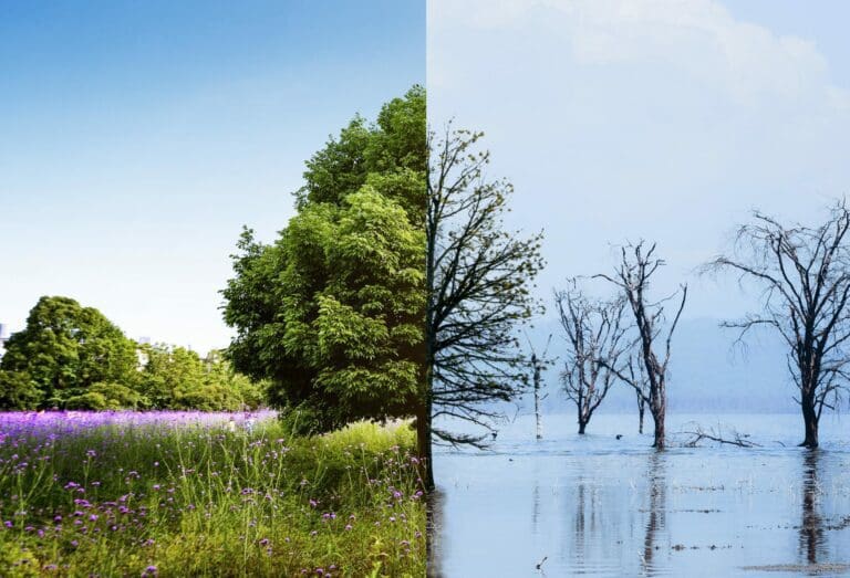 Regierung will das Klima steuern — Climate change by freepik.com