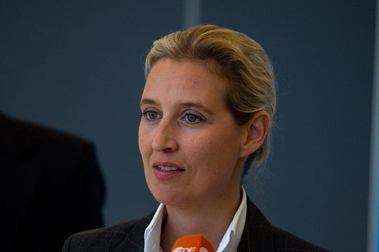 AfD fordert: Kickl muss Regierungsauftrag erhalten — Olaf Kosinsky / wikimedia.org (CC-BY-SA-3.0-DE)