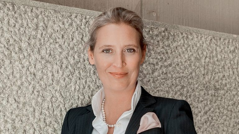 Heute: Musk spricht mit Weidel auf "X" — AfD