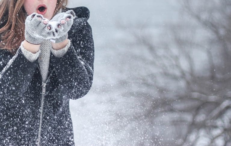 Schneetreiben — Pexels / pixabay.com