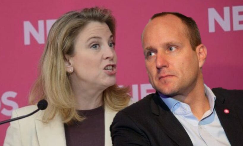 Beate Meinl-Reisinger und Matthias Strolz