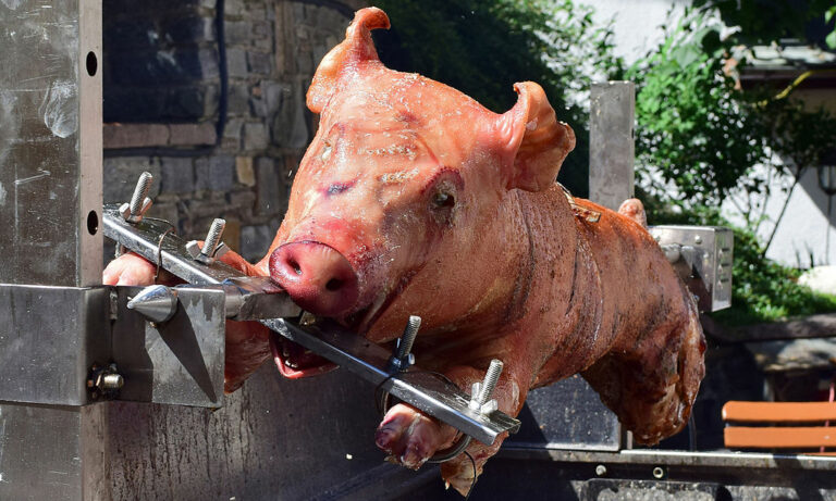 Veganer toben wegen Schweine-Wettgrillens — Haeferl / wikimedia (CC-BY-SA 3.0)