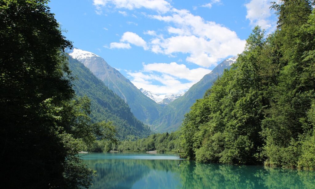 Wasser